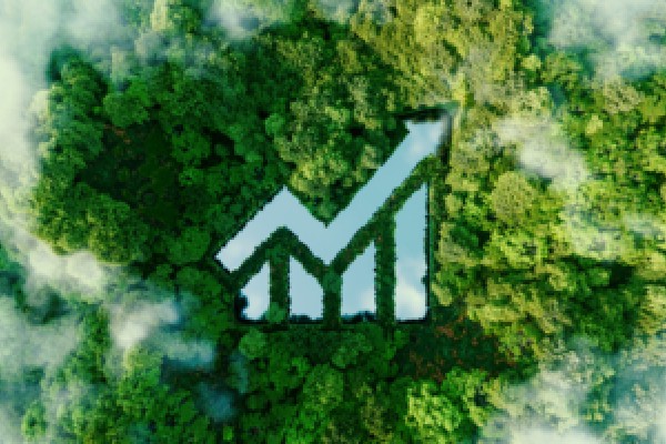 手表怎么换电池
